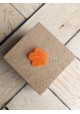 Broche ROSA - plusieurs coloris