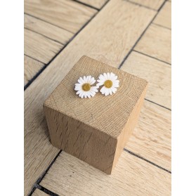 Boucles d'oreilles THAISS