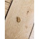 Grigri coquille de mer