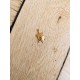 Grigri tortue
