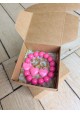 Bracelet BIANCA rose fuchsia
