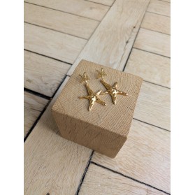 Boucles d'oreilles BENJAMINE