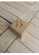 Boucles d'oreilles BENJAMINE